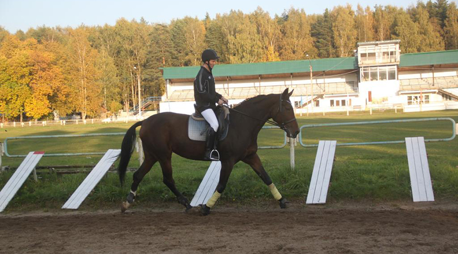 Чемпионат России по конному спорту спорт ЛИН